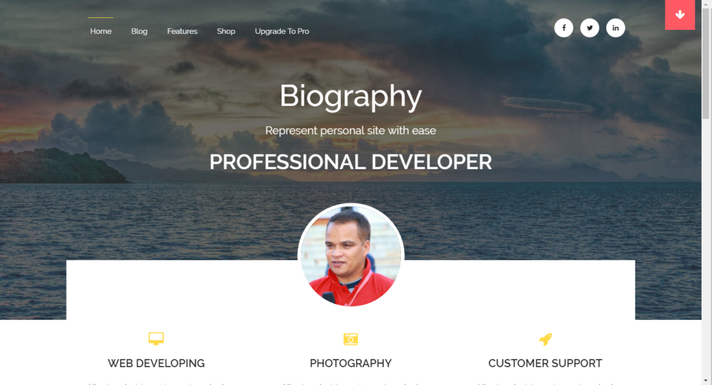 WordPress šablona Biography